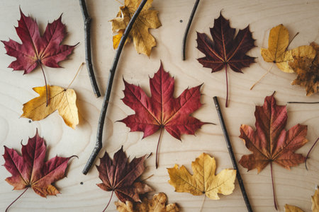 A photo of red and yellow dry autumn maple leavesの写真素材