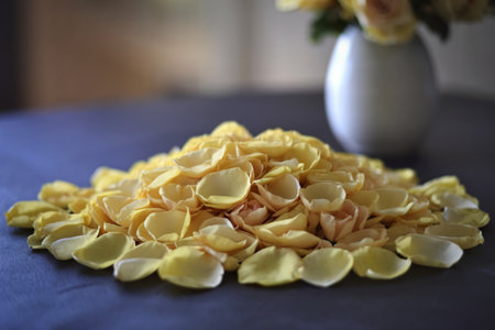 a bed of scattered petalsの写真素材