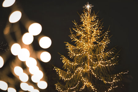 A photo of a tall, illuminated Christmas treeの写真素材