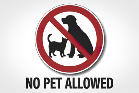 a prohibition sign. there's a bold text that reads NO PET ALLOWEDの写真素材