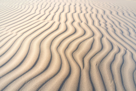 a close-up view of sand dunes with intricate ripple patterns.の写真素材