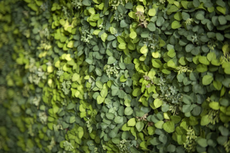 A photo of a green texture