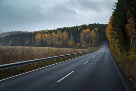 a asphalt road in autumnの写真素材