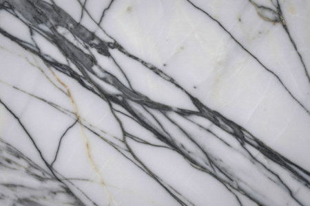 polished marble showcasing its distinctive natural veining patternsの写真素材