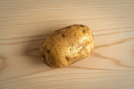 A photograph of a single raw potatoの写真素材