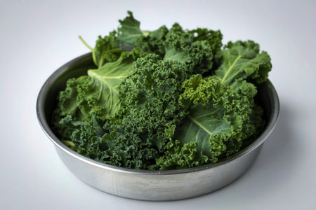 fresh raw green kale leavesの写真素材