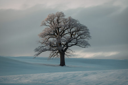 A minimalist photograph of a solitary tree