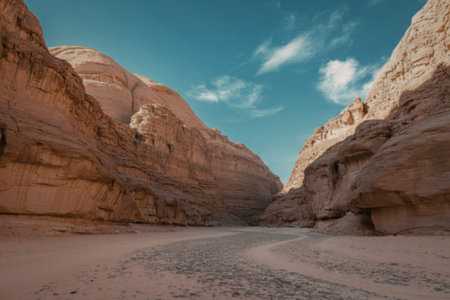 a vast desert canyon