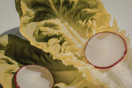 A photograph of a fresh garden saladの写真素材