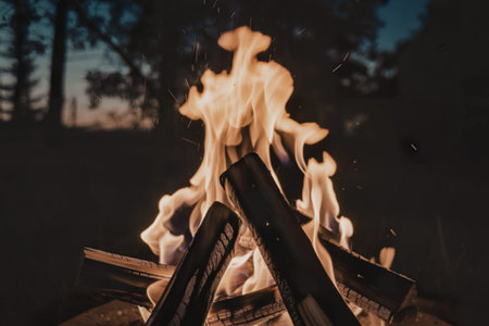 a campfire flame with a close-up shotの写真素材