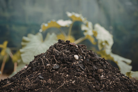 A photo of a pile of dark, rich soilの写真素材