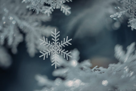a close-up view of snowflakesの写真素材