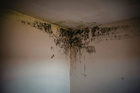 an apartment with a severe mold problemの写真素材