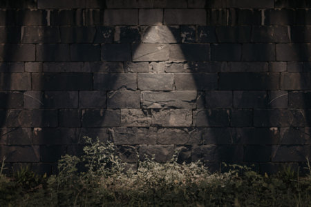a front view of a dark stone wallの写真素材