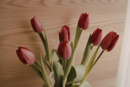 A photograph of vibrant red tulips