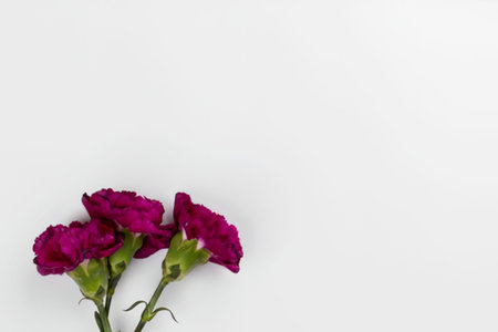 a close-up photograph of a small bunch of vibrant purple flowers with green stems and leaves against a plain white backdrop