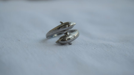 Silver ring two dolphins. Goods for creativity and needlework.の写真素材