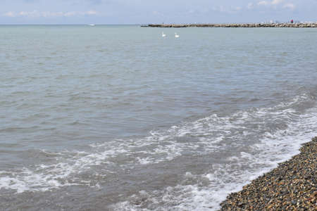 Black sea, pebble beach. Anapa resort town, summer.の写真素材