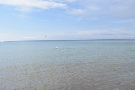 Black sea, pebble beach. Anapa resort town, summer.の写真素材