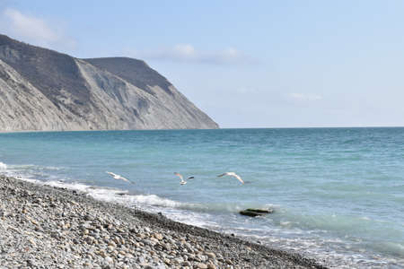 Types of the Black Sea. The outskirts of Anapa. Mountains and rocks, pebble beach, seagulls.の写真素材