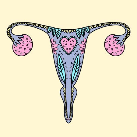 Illustration of the female reproductive system. Doodle illustration of the uterus and ovaries. Neutral background and bright colorsのイラスト素材