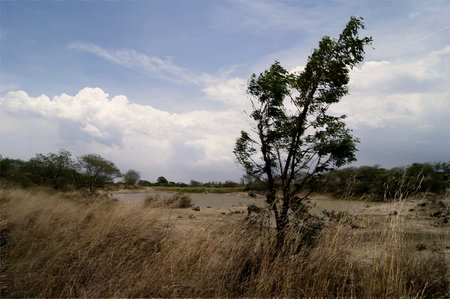 Strong wind in a lake of Dos Rios village in Veracruz, Mexico 2017の写真素材