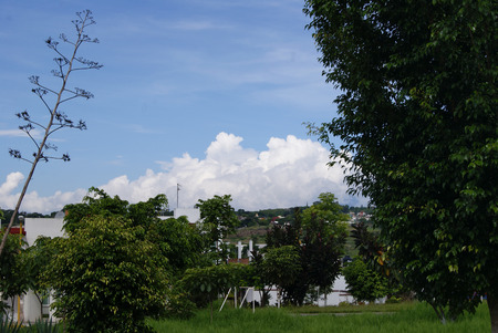 Green park with blue sky, overlooking the city of Xalapa Veracruz, Mexico 2016の写真素材