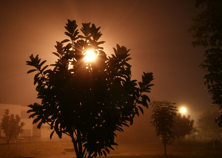 Light of fog lighting plant in Veracruz, Mexico 2016の写真素材