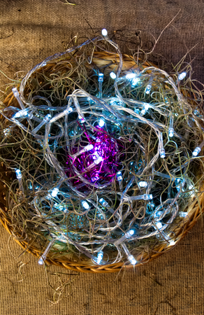 Native there nest and Christmas lights photo taking overhead, Mexico 2018の写真素材