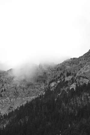 Foggy mountain detailsの写真素材