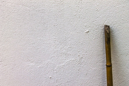 ReedCane on the Wallの写真素材