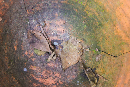 Earthenware Backgroundの写真素材