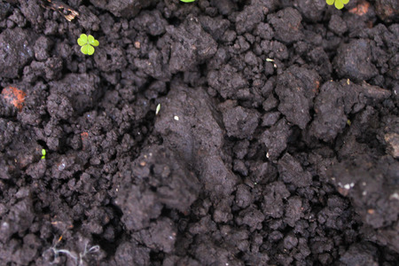 Land Mud Detailの写真素材