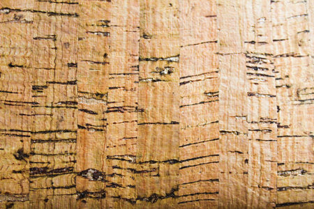 Cork Surface