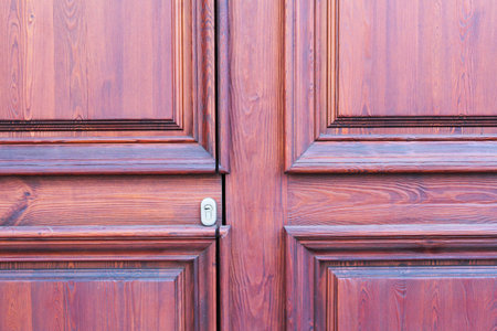 Ancient Door