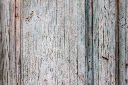 Vintage Paint Door