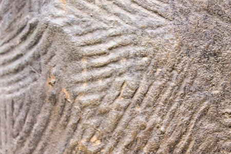 Rustic Stuccoed Wall
