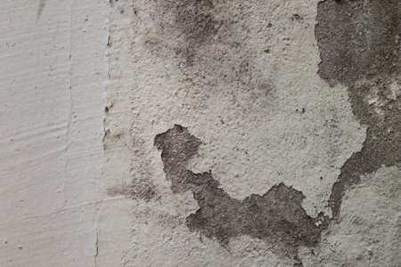 Rustic Wall