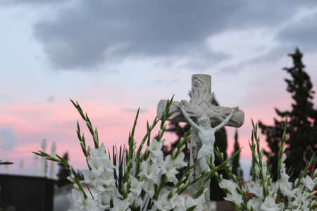 Flowers in the Cemeteryの写真素材