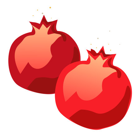 Pomegranate fruit icon. Cartoon illustration of pomegranate fruit icon for Jewish Holiday web designのイラスト素材