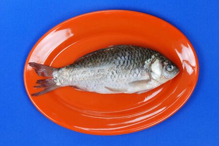 fish in dishの写真素材