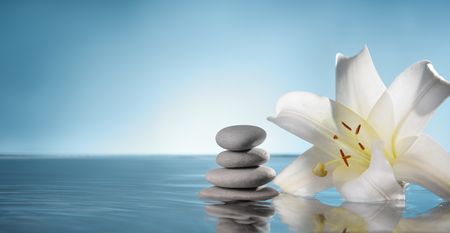 lily and spa stone in waterの写真素材