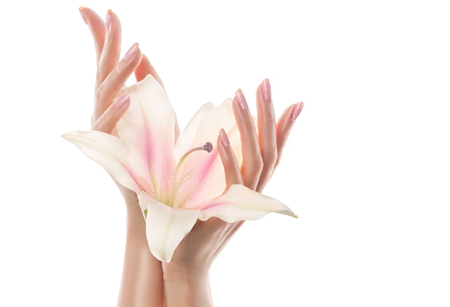 Close-up image of beautiful woman's hands with light pink manicure on nails which is holding a Lily flower. Cream for hands and beauty treatment. Delicate Lily flower in elegant and graceful hands with slender and graceful fingers.の写真素材