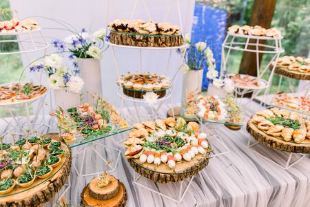Catering buffet and rustic decor, outdoor wedding party with healthy food snacksの写真素材