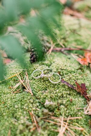 Wedding rings on the green moss in forest. Wedding rings nearfir cones. Wedding in forestの写真素材
