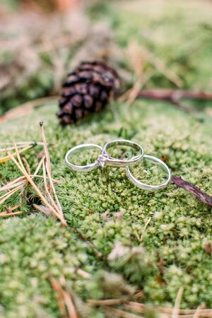 Close up - golden rings of bride and groom lie on a green moss. Blurred background. Wedding rings on mossの写真素材