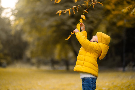 Happy autumn concept. A little girl in a yellow jacket and cap is playing with tree branch and...