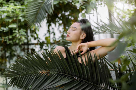 Beautiful mixed raced Asian woman model with dark long ponytail hair style, wearing black dress, posing in greenhouse with tropical plants, standing behind palm tree leaf. Tropical, summer conceptの写真素材