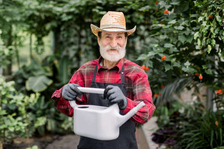 Gardening and greenhouse concept. Handsome cheerful gray haired senior bearded man in straw hat, red shirt and apron, posing with gray water can for watering plants in floral greenhouse.の写真素材
