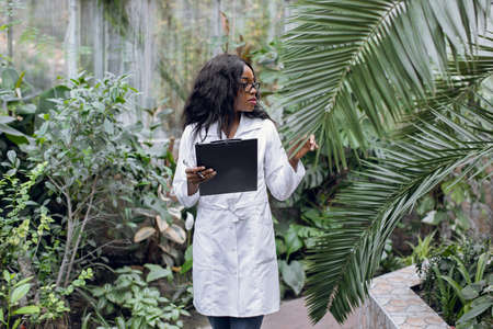 Young pretty African woman agronomist in white lab coat, making notes on clipboard, working in greenhouse and inspecting the plants, exotic palm trees.の写真素材